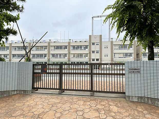 葛飾区立上小松小学校（約265m）