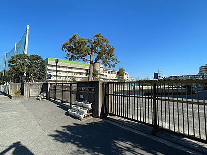 市川市立南行徳中学校 1924m