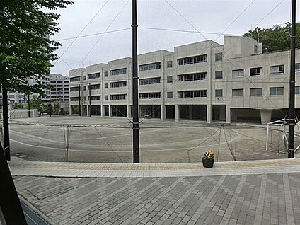 豊島区立千登世橋中学校 1034m