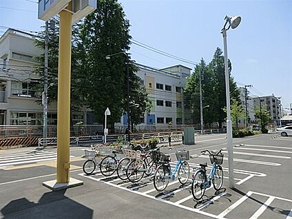 江戸川区立下鎌田小学校 239m