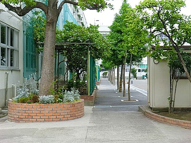 江戸川区立江戸川小学校（約533m）