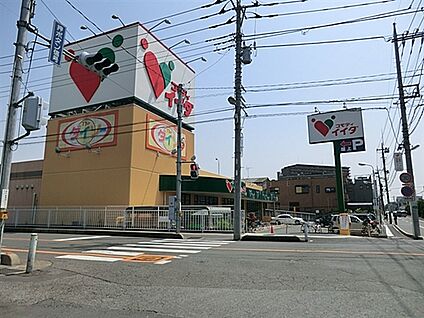 コモディイイダ 南鳩ヶ谷店 570m