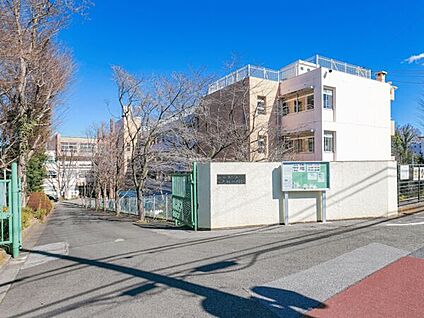 川口市立小谷場中学校 537m