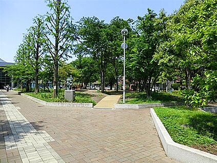 溝口緑地 812m