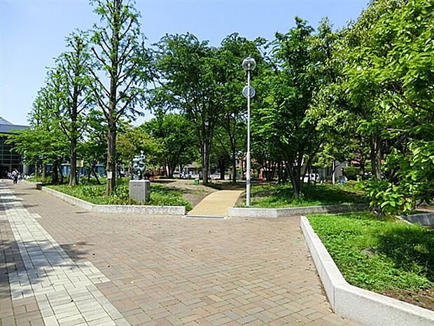 溝口緑地(約812m)