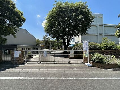 横浜市立二つ橋小学校 211m