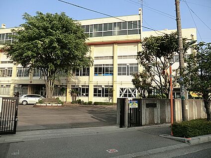 川口市立十二月田小学校 596m