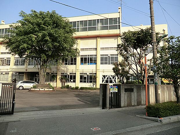 川口市立十二月田小学校(約596m)