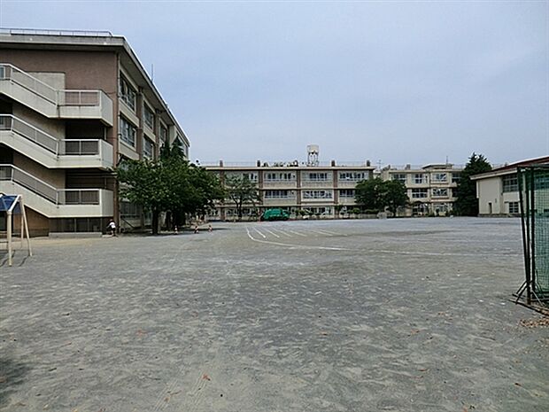 川崎市立玉川小学校(約520m)
