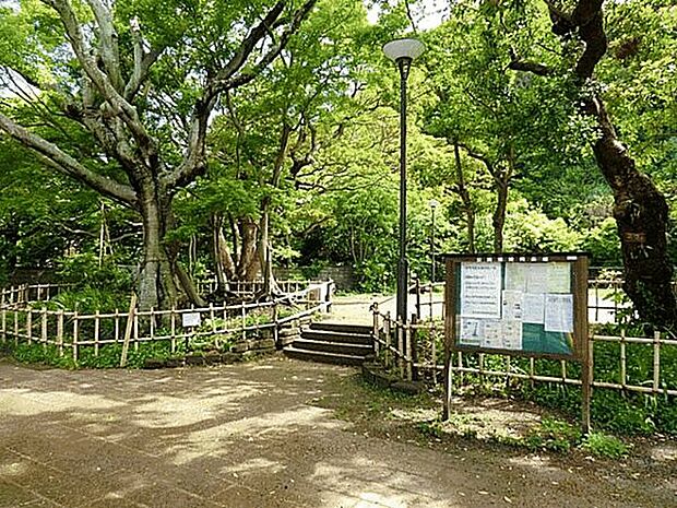 材木座たぶのき公園(約2,138m)