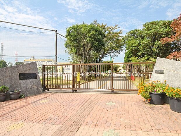 柏市立富勢中学校（約600m）