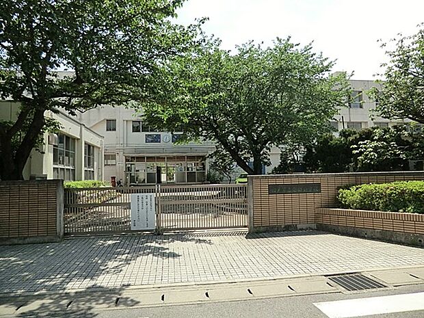  松戸市立南部小学校（約479m）