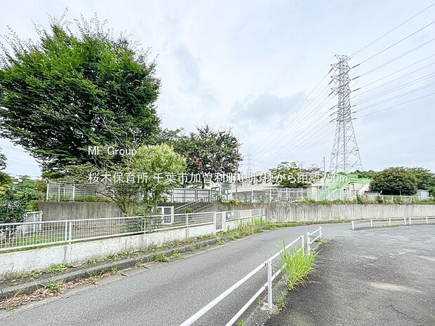 桜木保育所（約750m）