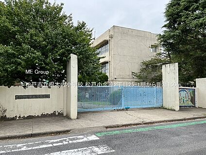 松戸市立根木内小学校 150m