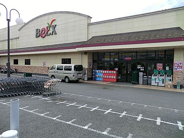 ベルクス市川堀之内店（約500m）