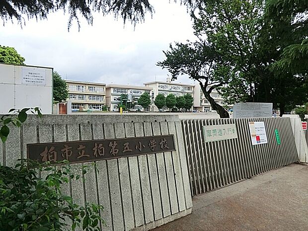 柏市立柏第五小学校(約1,400m)