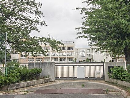 松戸市立北部小学校 560m
