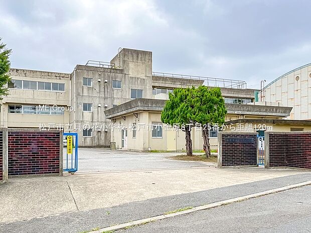 松戸市立貝の花小学校(約120m)