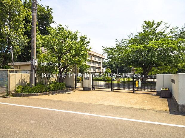 柏市立中原中学校(約650m)