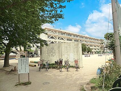 松戸市立寒風台小学校 552m