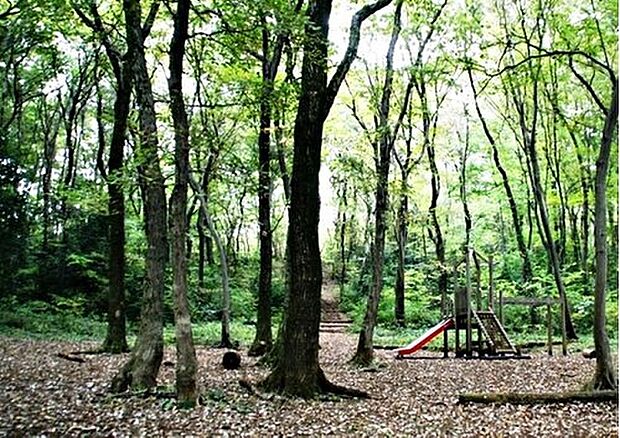 東大和公園(約600m)