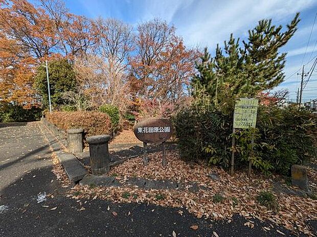 東花田原公園（約450m）