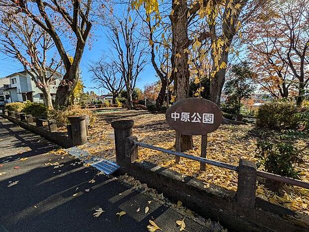 中原公園（約550m）