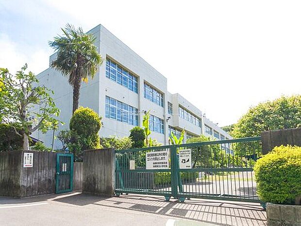 瑞穂町立瑞穂第五小学校（約900m）