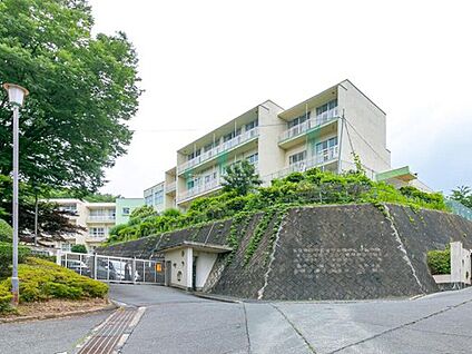 八王子市立小宮小学校 750m(徒歩10分)