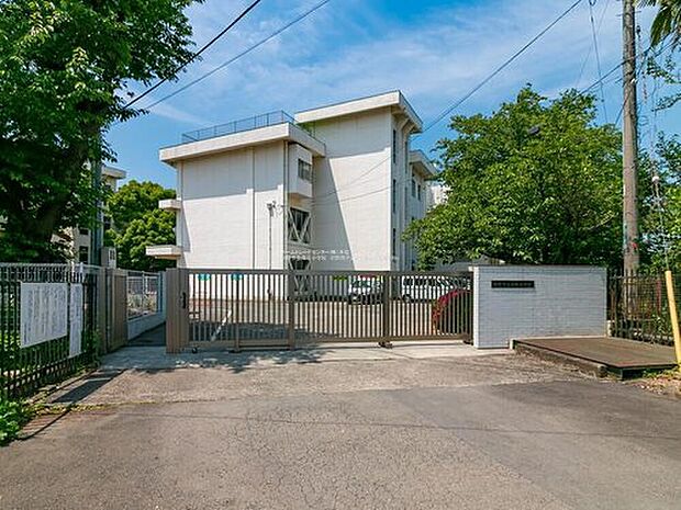 日野市立滝合小学校（約9m）