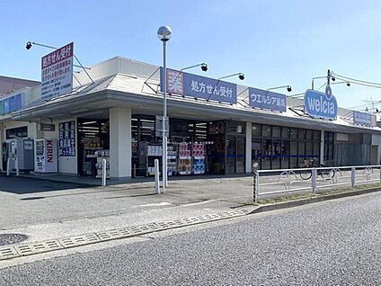 ウエルシア立川若葉町店 800m(徒歩10分)