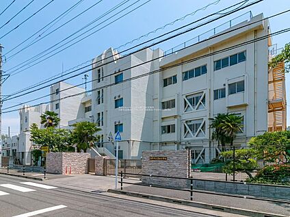 日野市立豊田小学校 700m(徒歩9分)