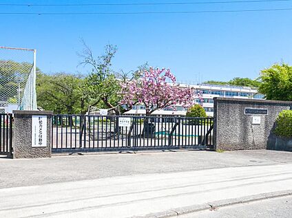 あきる野市立御堂中学校 1600m(徒歩20分)