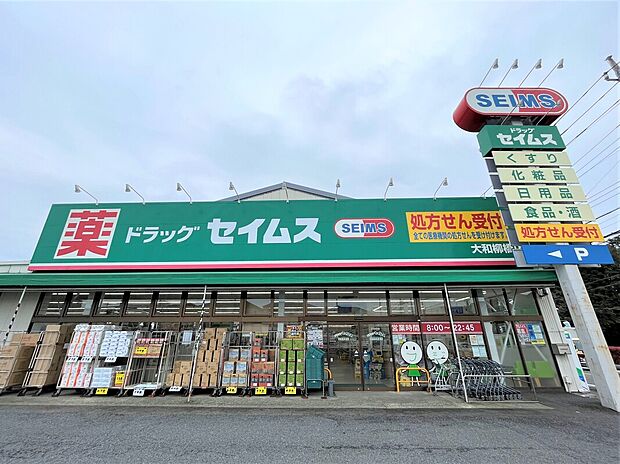 ドラッグストアセイムス大和柳橋店(約280m)
