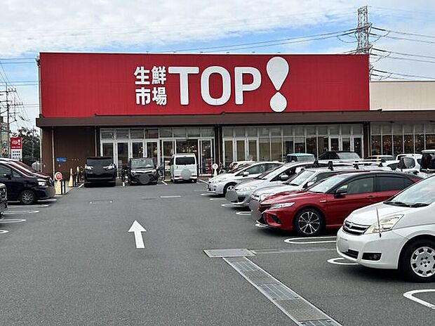 生鮮市場TOP(約530m)