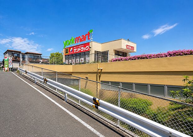 ヨークマート藤原店（約1,090m）