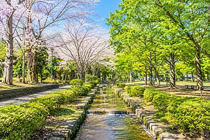 行田公園 約1000m(徒歩13分)