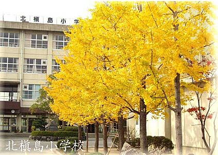 宇治市立槇島小学校 徒歩1100m