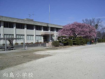 京都市立向島小学校 徒歩513m