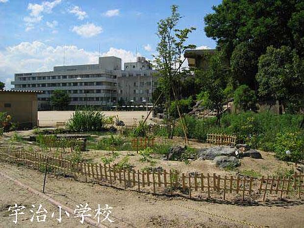 宇治市立宇治小学校