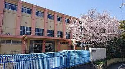 柏原市立国分小学校 徒歩880m