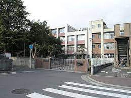 八尾市立志紀小学校 徒歩343m
