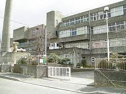 八尾市立桂中学校 徒歩300m