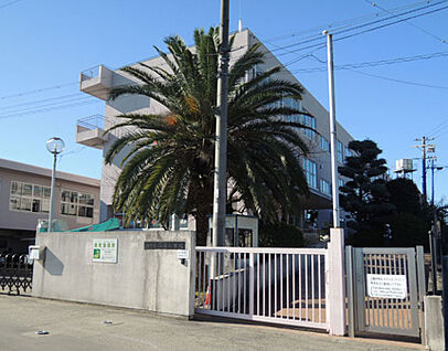 堺市立平尾小学校 徒歩800m