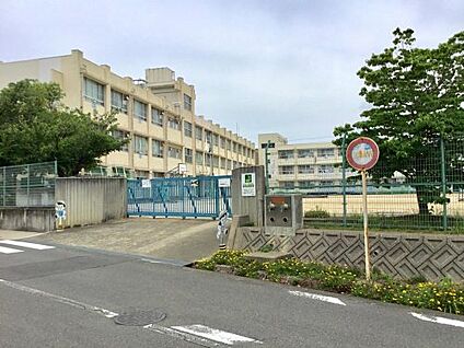 堺市立八田荘小学校 徒歩900m