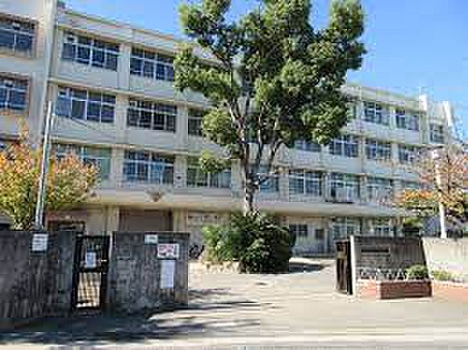 羽曳野市立恵我之荘小学校