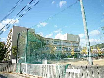 宝塚市立南ひばりガ丘中学校 徒歩260m