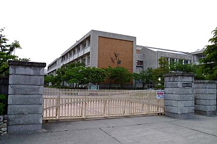 宮池小学校 約1300～1310ｍ(徒歩17分)