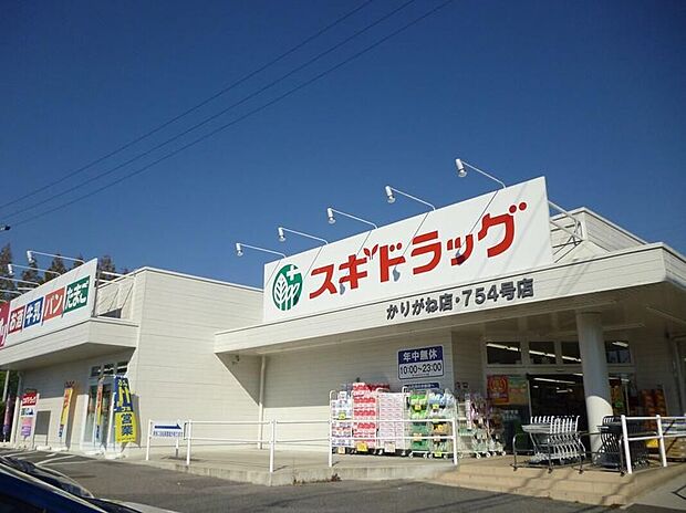 スギ薬局（かりがね店）（約690m）