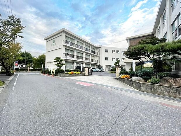 元城小学校（約500m）